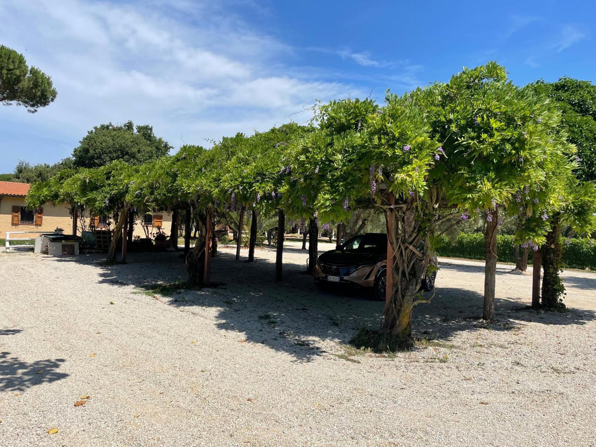 Agriturismo La Valle - By Podere Arundineto Castagneto Carducci Bagian luar foto